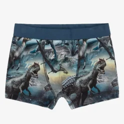 Molo Underwear*Boys Blue Cotton Dinosaur Boxers (2 Pack)