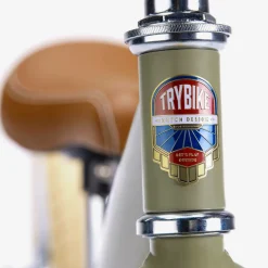 Trybike Toys|Toys*Green 2-in-1 Trike