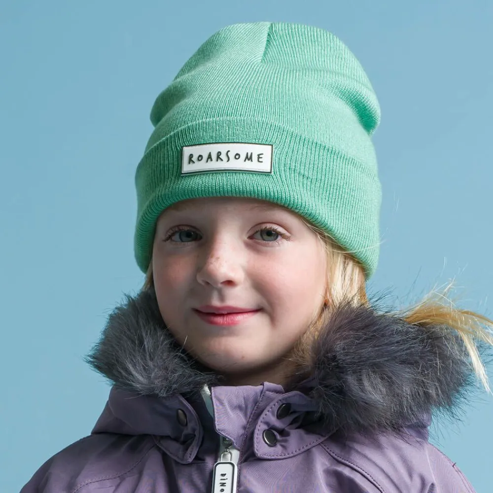 Roarsome Hats|Hats*Green Knitted Beanie Hat