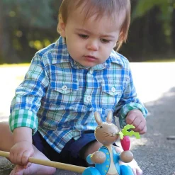 Orange Tree Toys Toys|Toys*Peter Rabbit Push Along Toy (15cm)