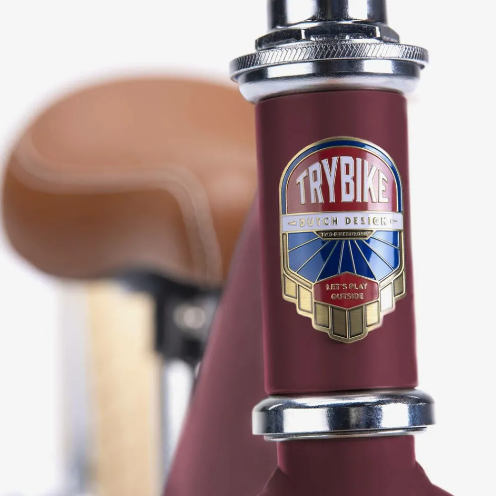 Trybike Toys|Toys*Red 2-in-1 Trike