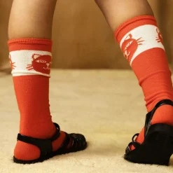 Mini Rodini Socks|Socks*Red Organic Cotton Cats Socks