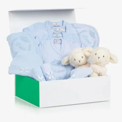 Childrensalon Hampers Gifts*Twin Boys Welcome To The World Hamper